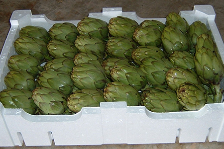 Foto Las cajas de EPS-airpop® para alimentos frescos y congelados ya tienen su propia norma.